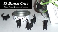 13 Black Cats