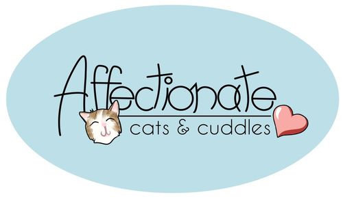 Affectionate: Cats and Cuddles