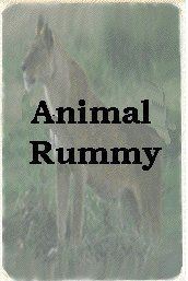 Animal Rummy