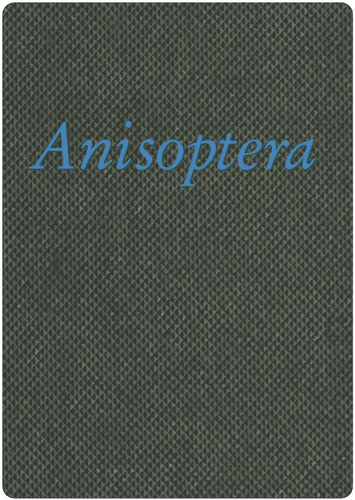 Anisoptera