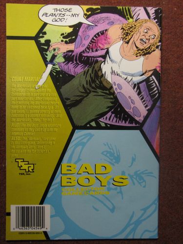 Bad Boys Collector Game Cards