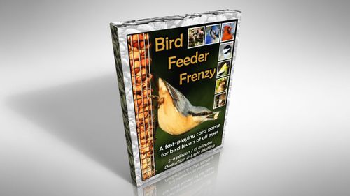 Bird Feeder Frenzy