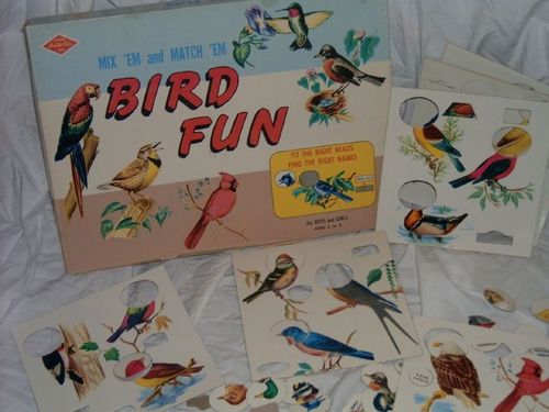 Bird Fun