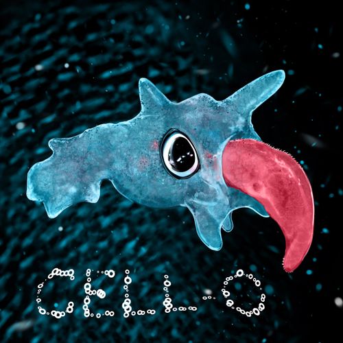 Cell-O