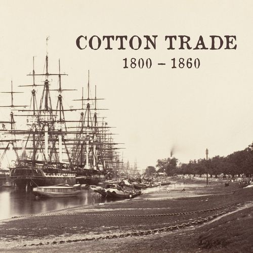 Cotton Trade: 1800-1860