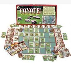 Coyote!
