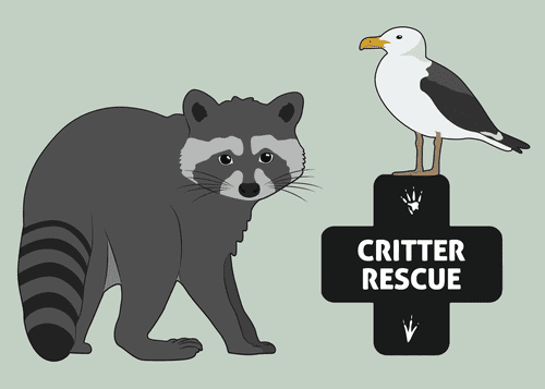 Critter Rescue