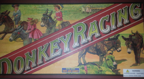 Donkey Racing