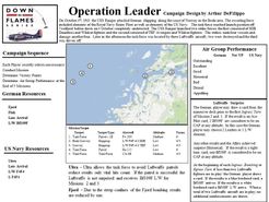 Down in Flames: Operation Leader 1943