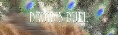 Druid's Duel