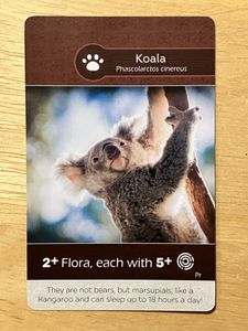 Earth: African Lion/Koala Promo Card