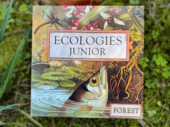 Ecologies Junior: Forest
