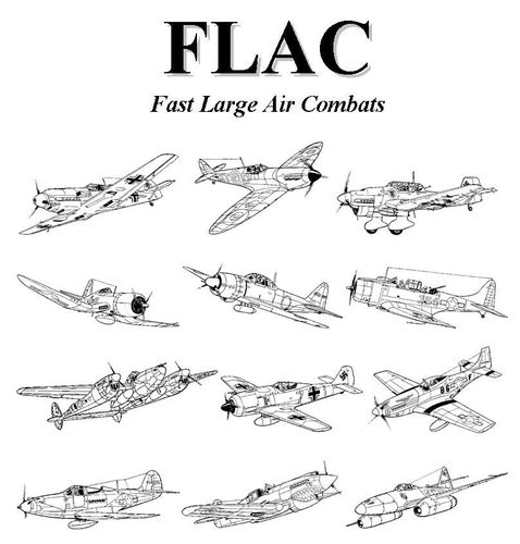 FLAC: Fast Large Air Combats