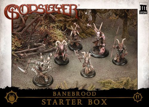 Godslayer: Banebrood Starter Box