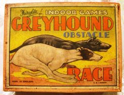 Greyhound Obstacle Race