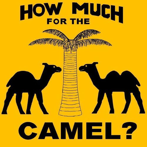 How Much for the Camel?