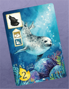 Meadow: Seal Promo Card