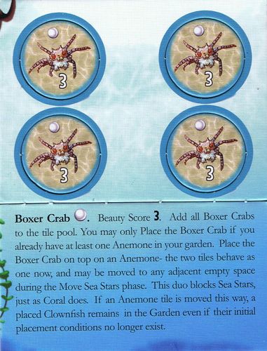 Octopus' Garden: Boxer Crab