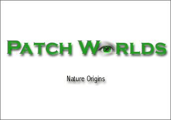 Patch Worlds