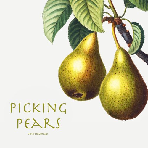 Picking Pears