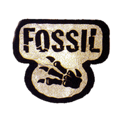 Pokémon TCG: Fossil Expansion