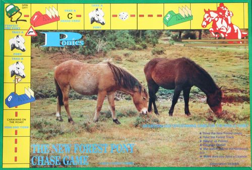 Ponies: The New Forest Pony Chase Game