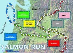 Salmon Run Game