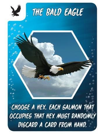 Salmon Run: The Bald Eagle