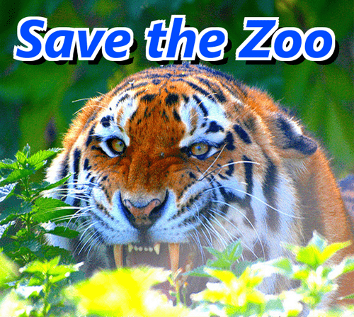 Save the Zoo