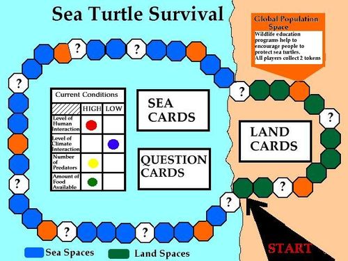 Sea Turtle Survival