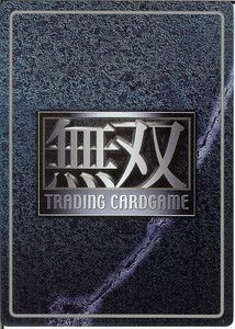 Shin Sangoku Musou 4 Trading Card Game