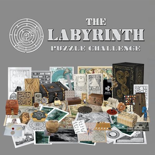 The Labyrinth Puzzle Challenge