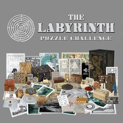 The Labyrinth Puzzle Challenge