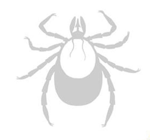 Tick (fan expansion for Hive)
