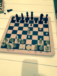 Time Travel Chess