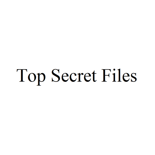 Top Secret Files: the game