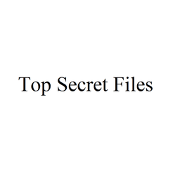 Top Secret Files: the game