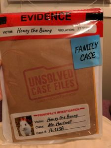 Unsolved Case Files: Honey The Bunny