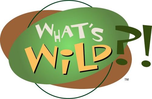 What's Wild?!