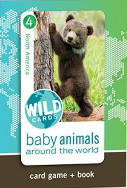Wild Cards: Baby Animals Around the World