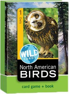 Wild Cards: North American Birds