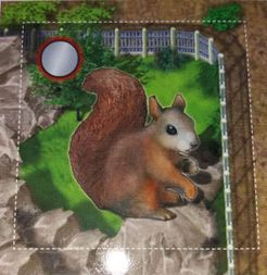 Zooloretto: Squirrel